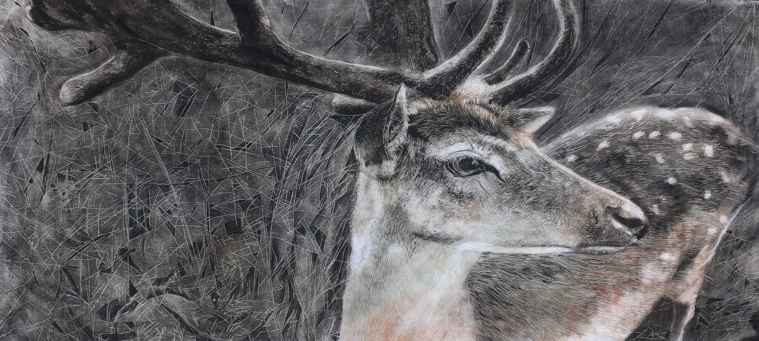“i’m a deer you are a hunter“ 45x100cm 2018 mixed technique on the paper